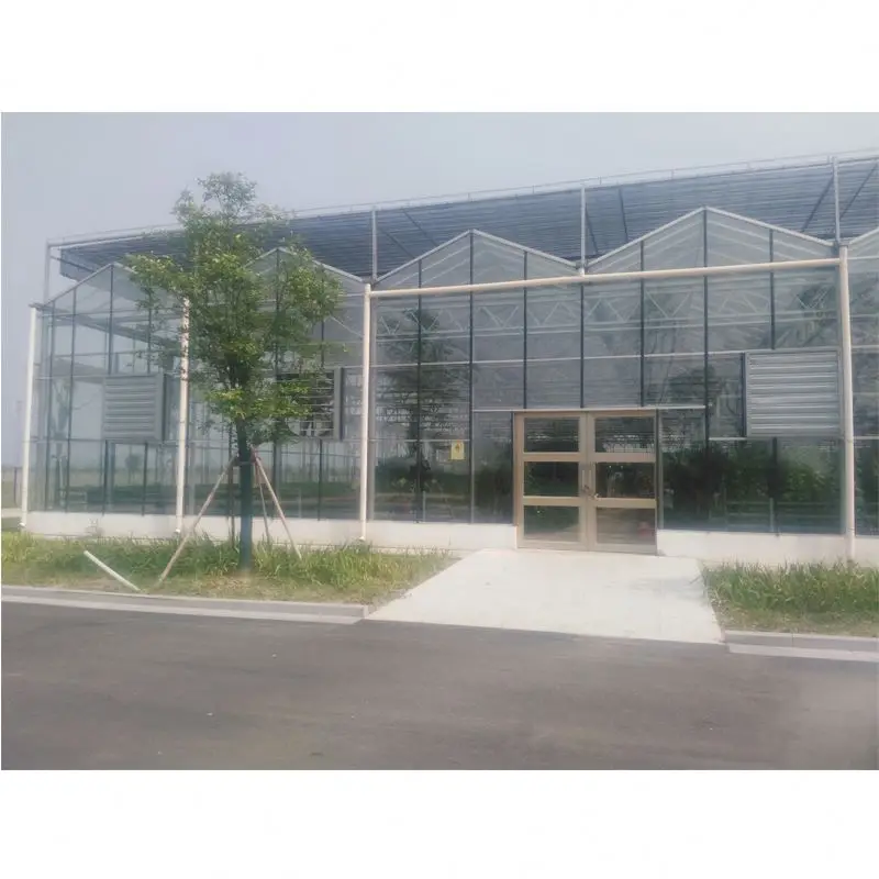
Hot dip galvanized intelligent glass greenhouse construction manufacturers direct cultivation cultivation 