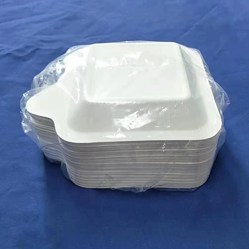 paper pulp tableware (4)