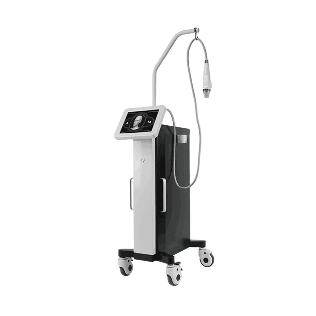 

2021 Fall Tops Radio Frequency Skin Tightening Scar marks Removal RF Microneedling Machine Fractional, Black+white