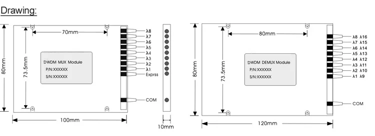 100g dwdm