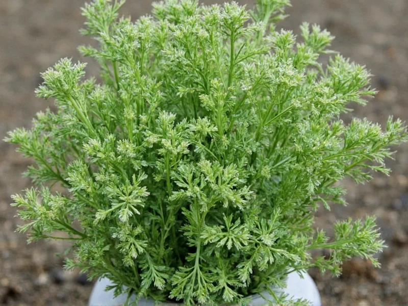 Does Dry Parsley Go Bad? Shelf Life & Storage Guide