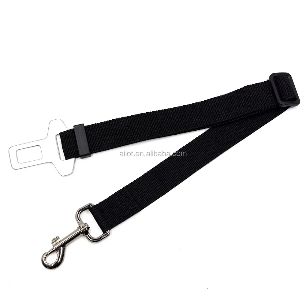 3795092931_1702532688 (1).jpg