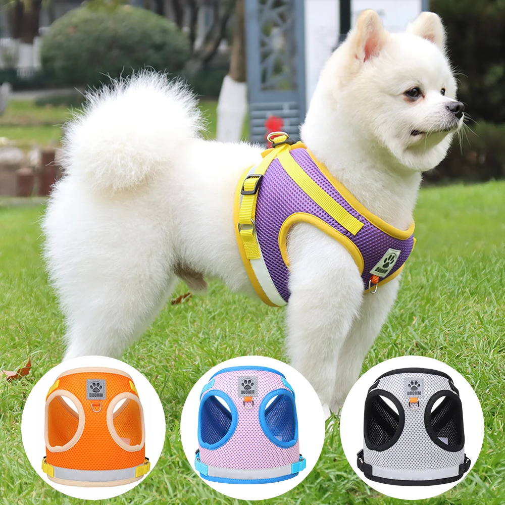 

Pet Supplies Dog Harness and Leash Set Color Matching Polyester Pet Dog Vest Chest Harness Soft nylon dog harness, Picture