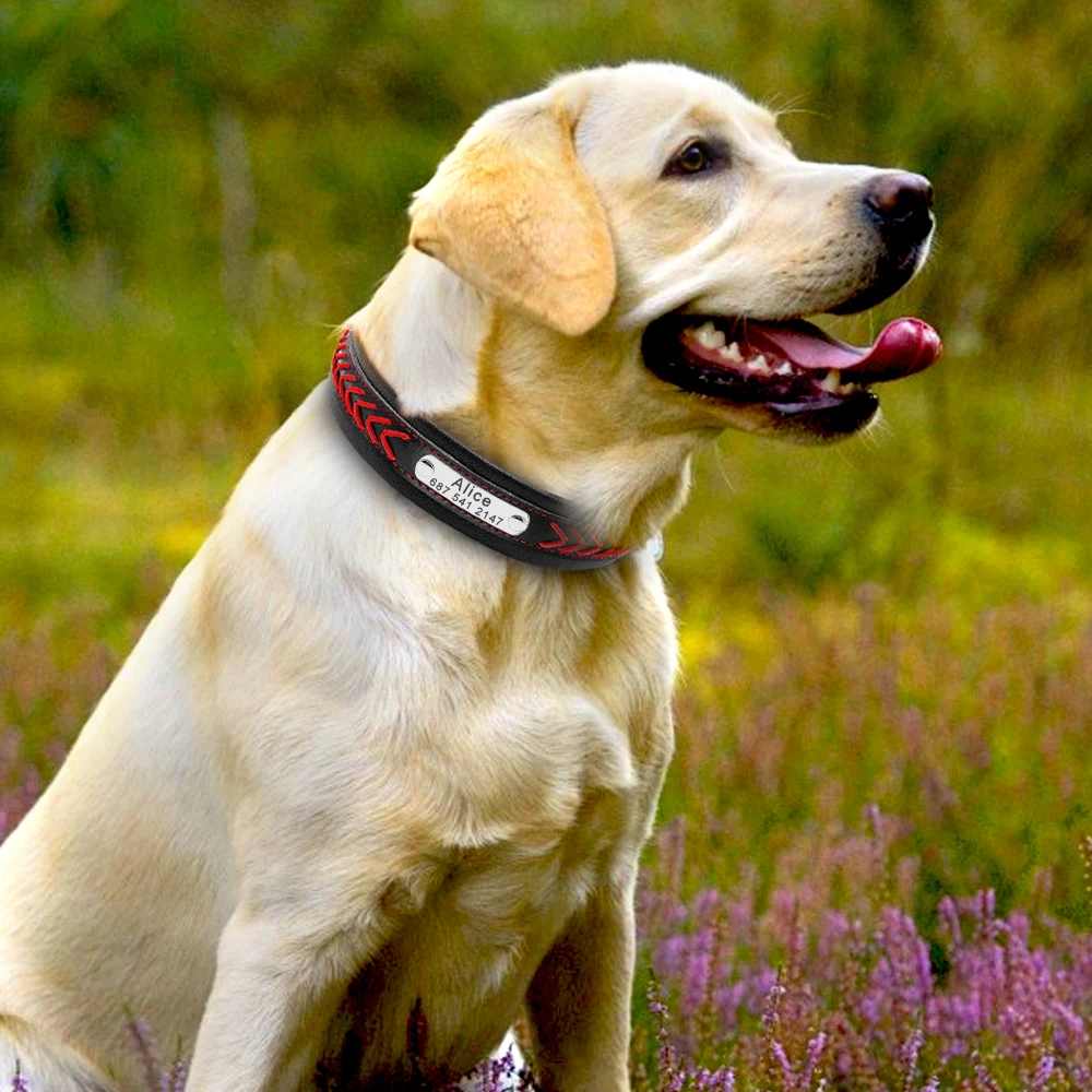 

Large Dog Collar Leather Personalized Large Pet Collars Padded Soft Custom Pitbull Collars for Small Medium Big Dogs
