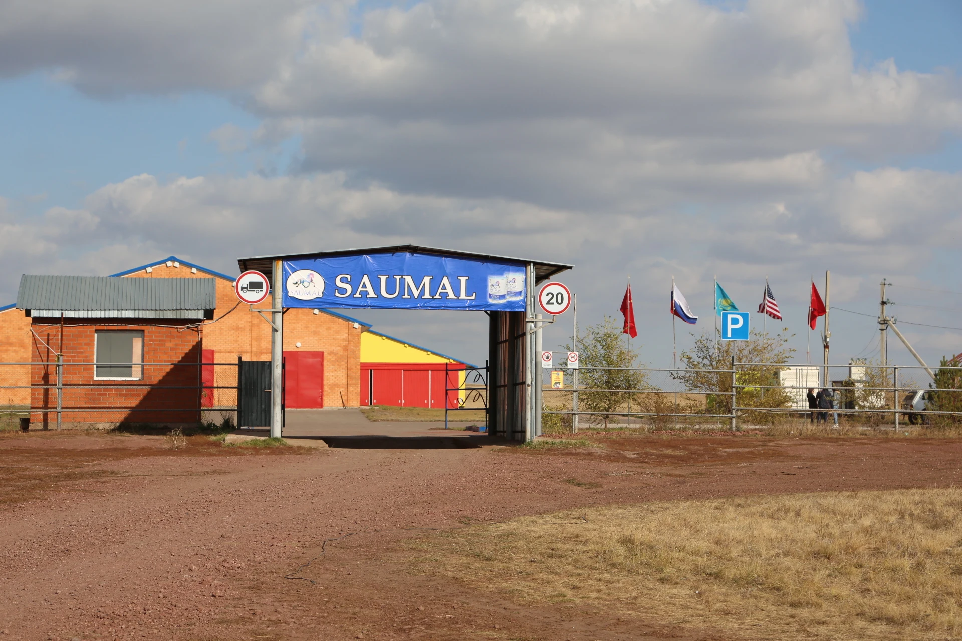 
Kazakhstan Origin Camel Milk Powder 