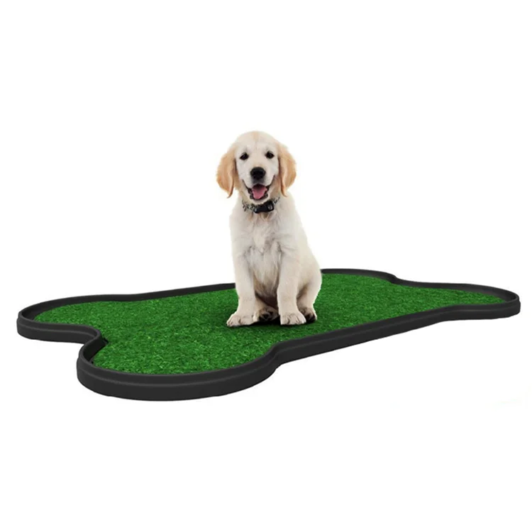 

Amazon best selling dog urinary indoor toilet pad, Green