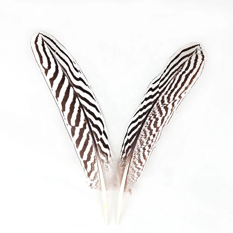
8-10 Inch(20-25 cm)High Quality Natural Patterned Silver Pheasant Wings Feather 