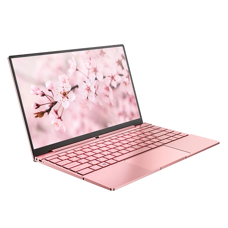 

14 inch New Design Appearance Romantic pink Portable Computer Inter N5095 12GB RAM 128GB SSD fast startup Notebook laoptop