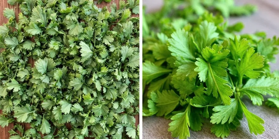 Parsley Problems Solved: From Dried to Fresh and Back Again!