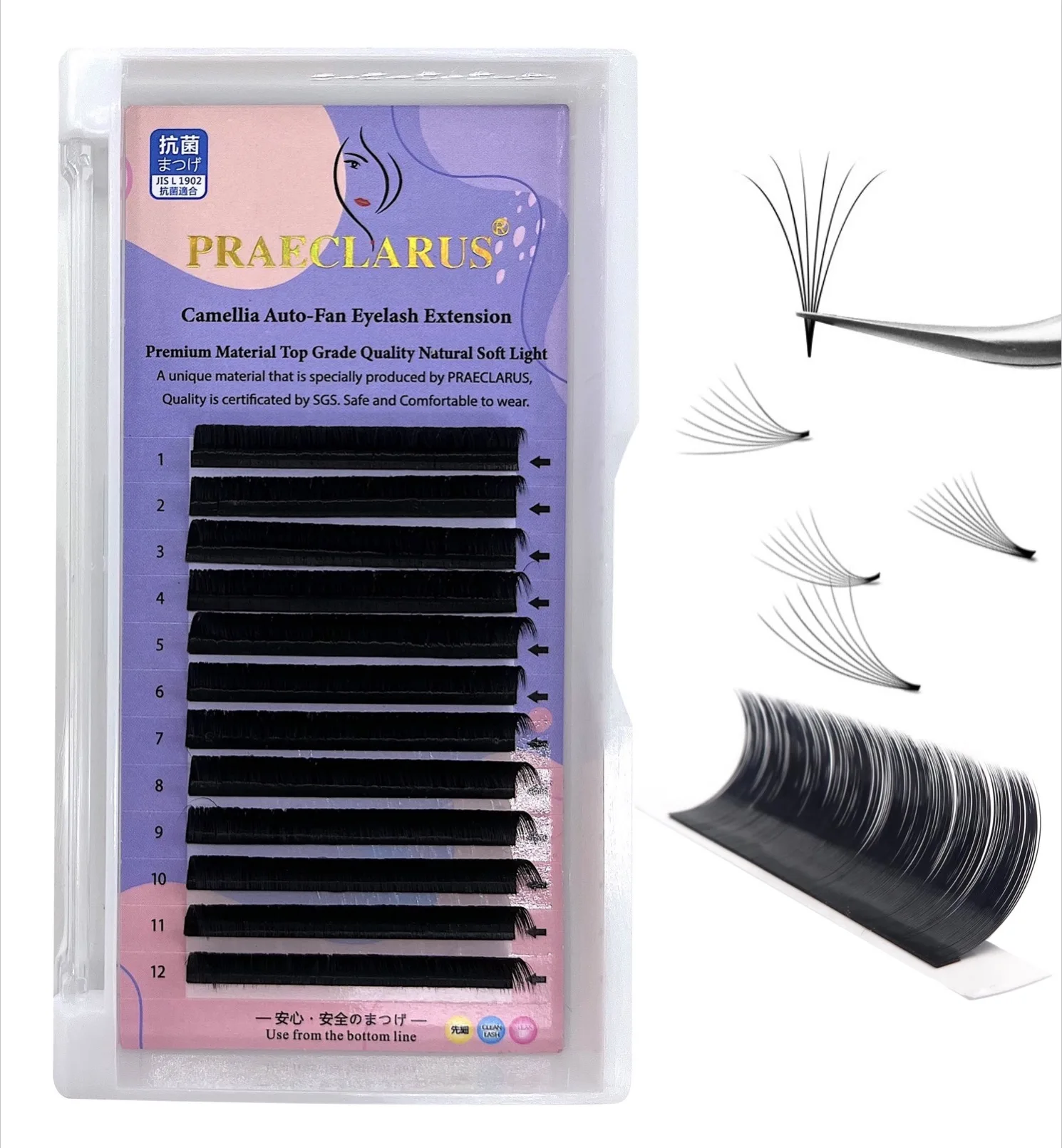 

Camellia Lash Extensions Wispy Camellia Spike Lash Extensions Camellia Eyelash