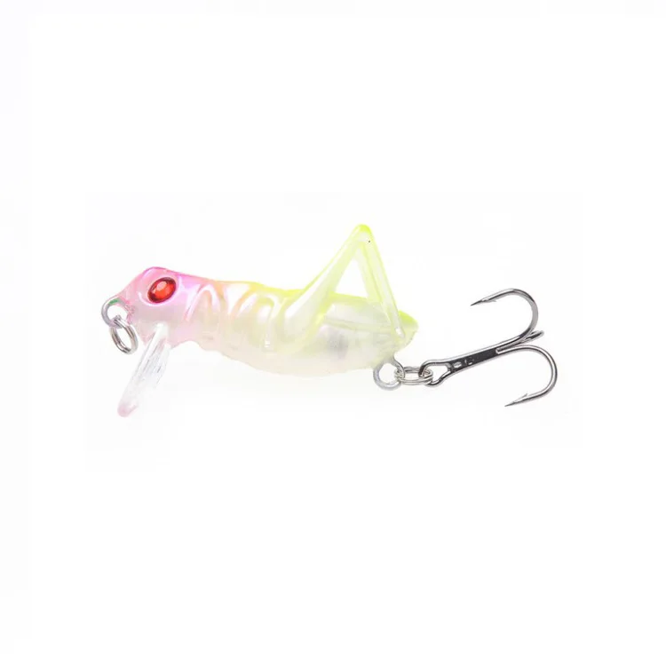 

Hot Sale Color Plastic Insect-shaped fishing bait for outdoor fishing