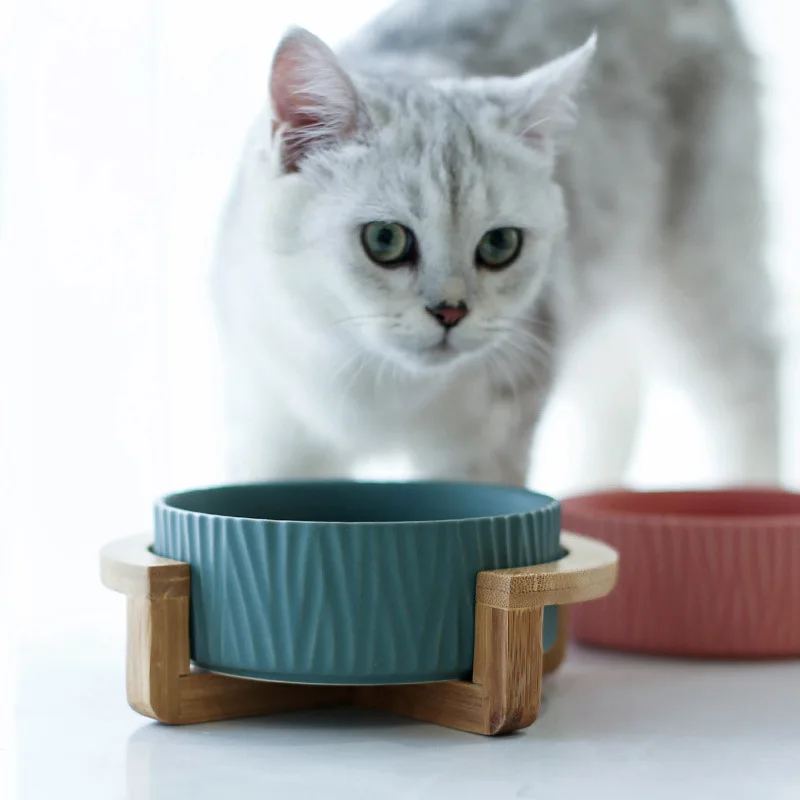 

Amazon Wholesale Pet Bowls Ceramic Pet Food Water Bowl Easy Clean Pet Feeder Dog Bowl, White,