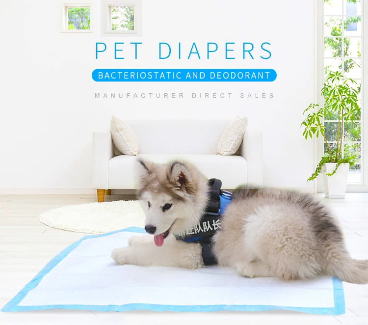 2020 New pet training pads dog and puppy potty training pads For Training 51*31In Used In Cages Dog Underpad