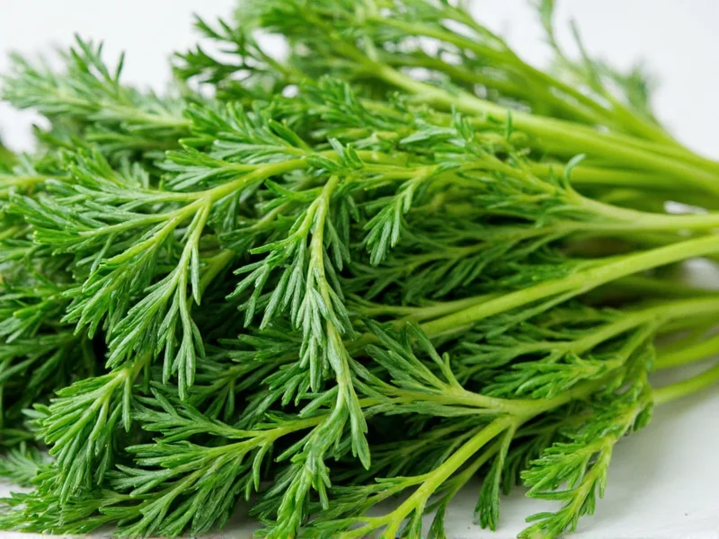 Dill Leaves Taste: Fresh, Grassy Flavor with Anise Notes