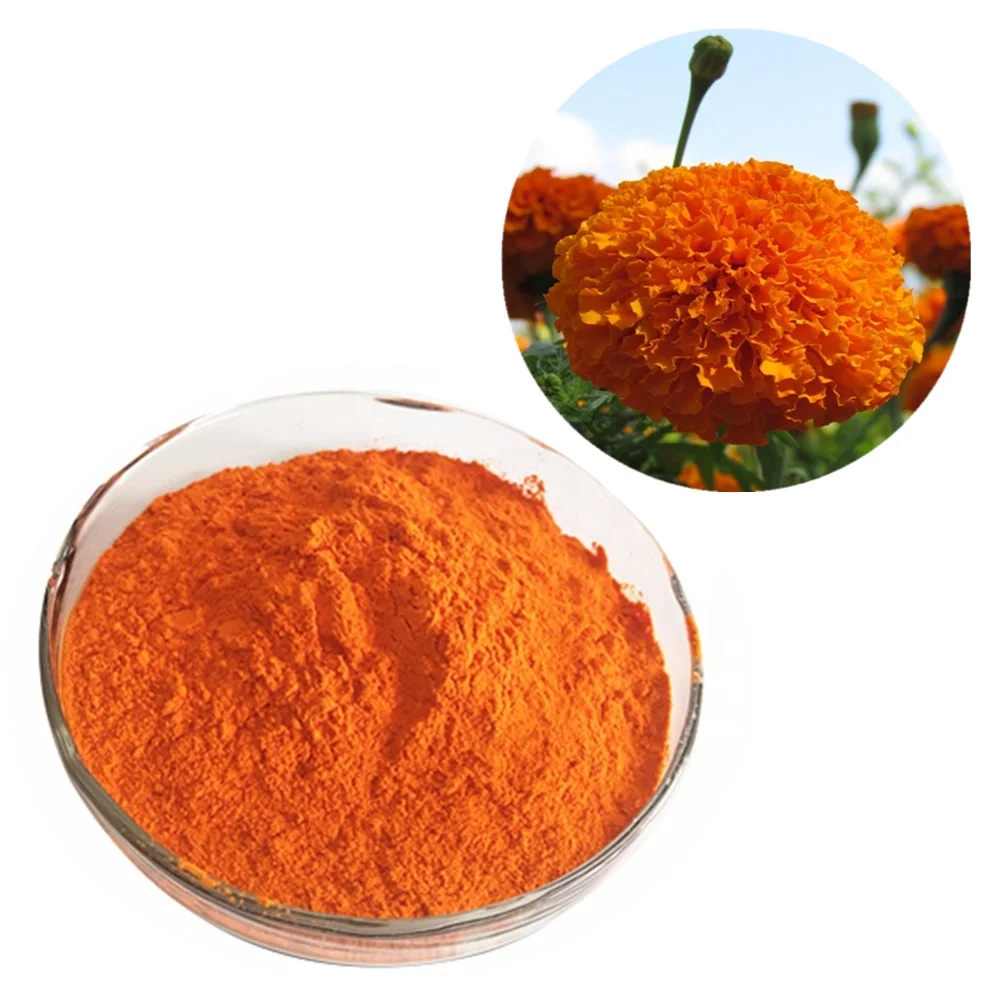 

OEM Food Additive 5%-80% Super Lutein Marigold Flower Extract Lutein