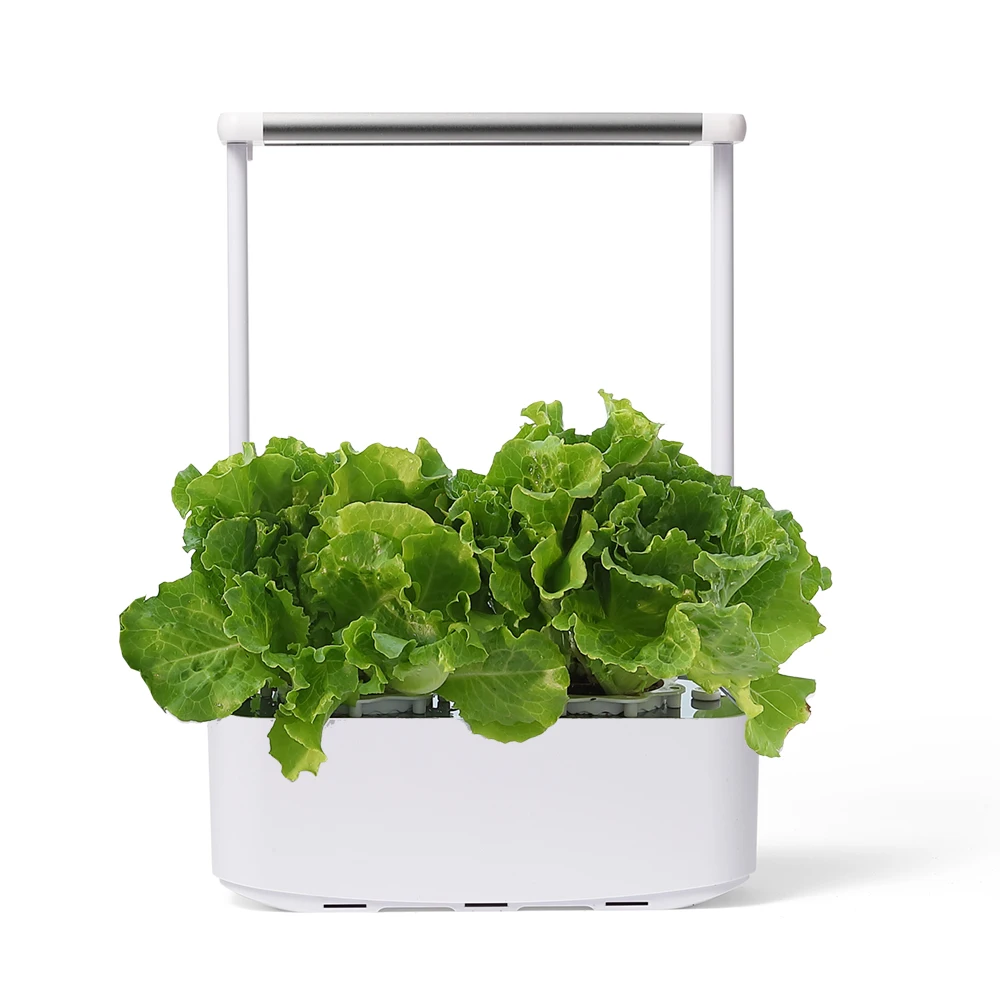 

HH Mocle amazon hot sale small hydroponic system indoor herb garden kit hydroponic led grow light