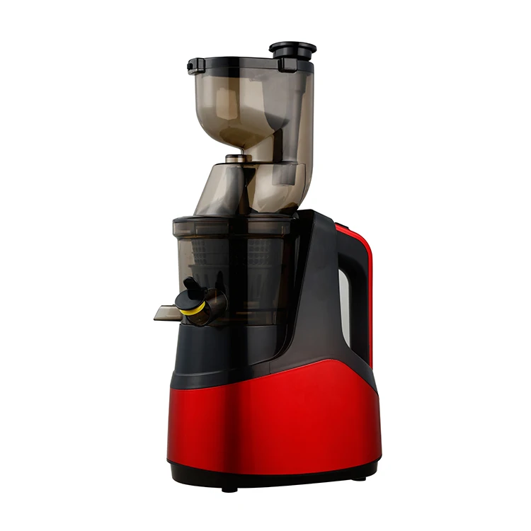 Slow Juicer With Stainless Steel Filter Combined Filter Ice Cream