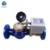Electronic digital water meter reading device