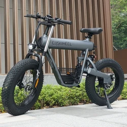Removable battery 20AH Big Capacity 80km Long Range 500W Mountain And Snow Electric Bicycles
