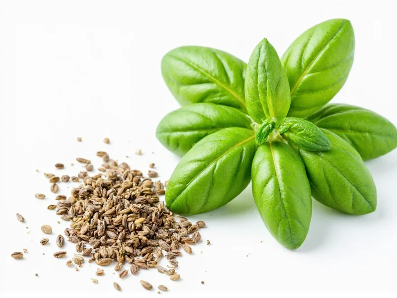 Best Substitutes for Dried Basil: Practical Alternatives