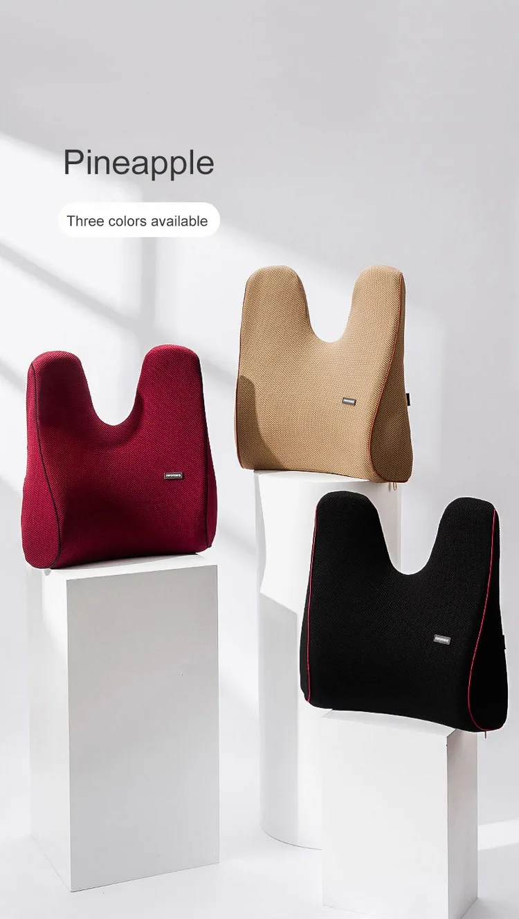 lumbar back support cushion