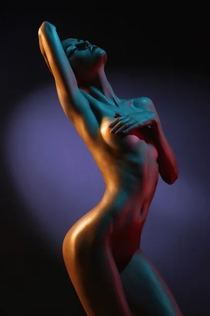 
Posters and Prints Wall Art Canvas Painting Fashion Art Photo of Elegant Nude Model Pictures for Living Room Home Decor 