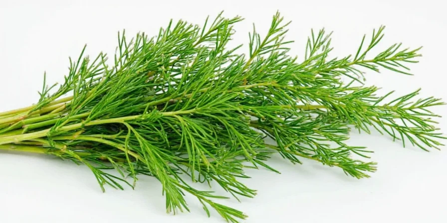 Dill sprig paired with lemon slices