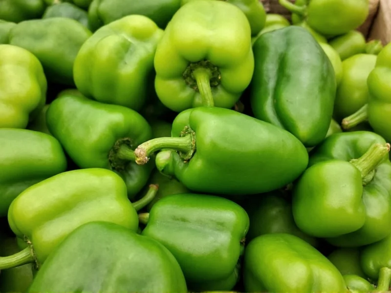 Green Pepper Carbs: 6g Total Carbs Per Medium Pepper