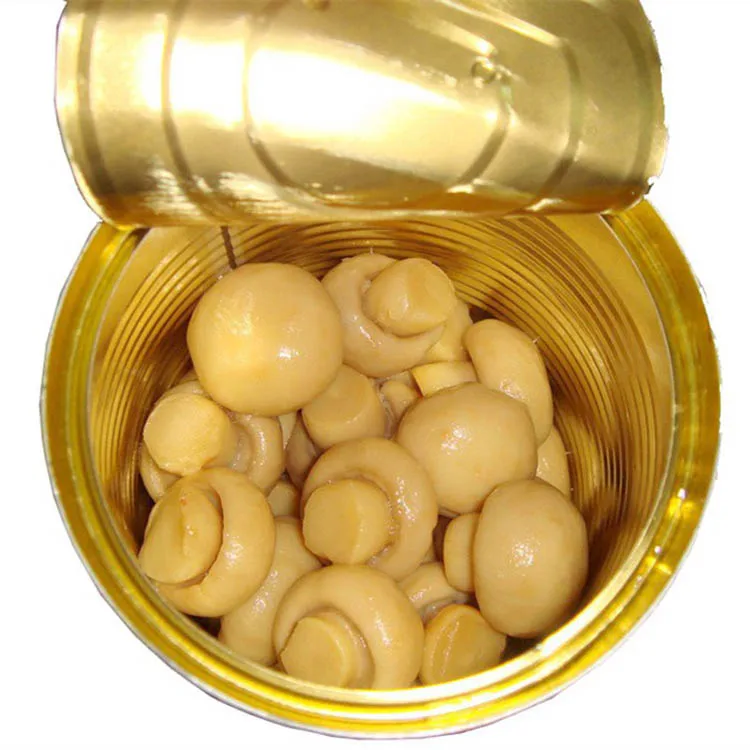 
Best China canned whole champignon mushrooms 