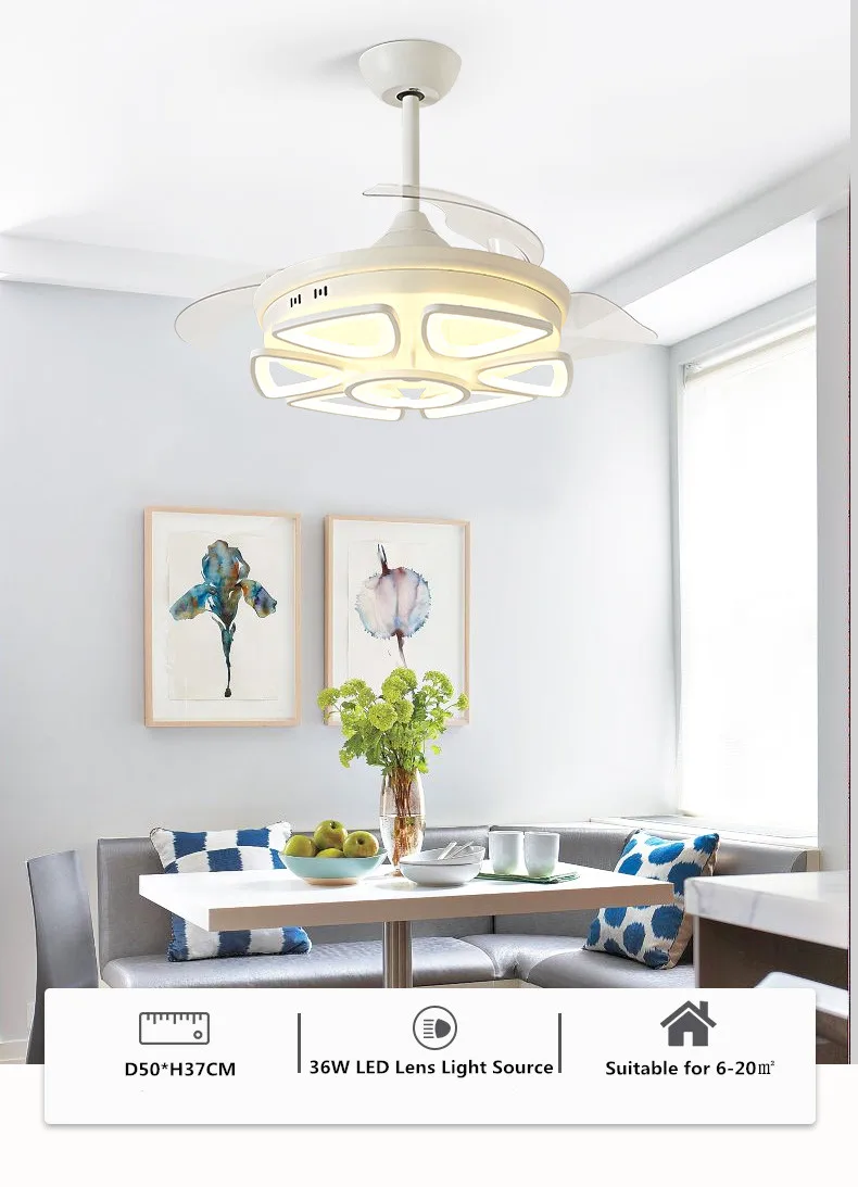 fan light  (1).jpg