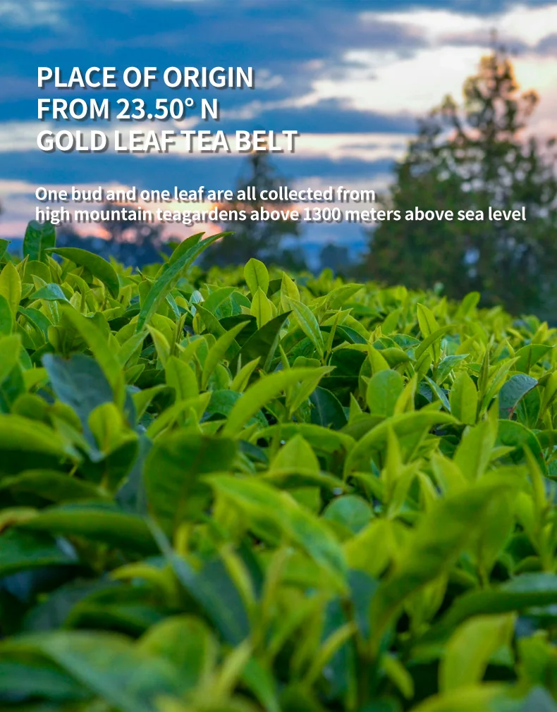 Blooming Tea High Quality Oganic Flavor Flower Green Chinese Ball Leaf Packaging Pack Health Small Hand Material Shelf Natural - 4uTea | 4uTea.com
