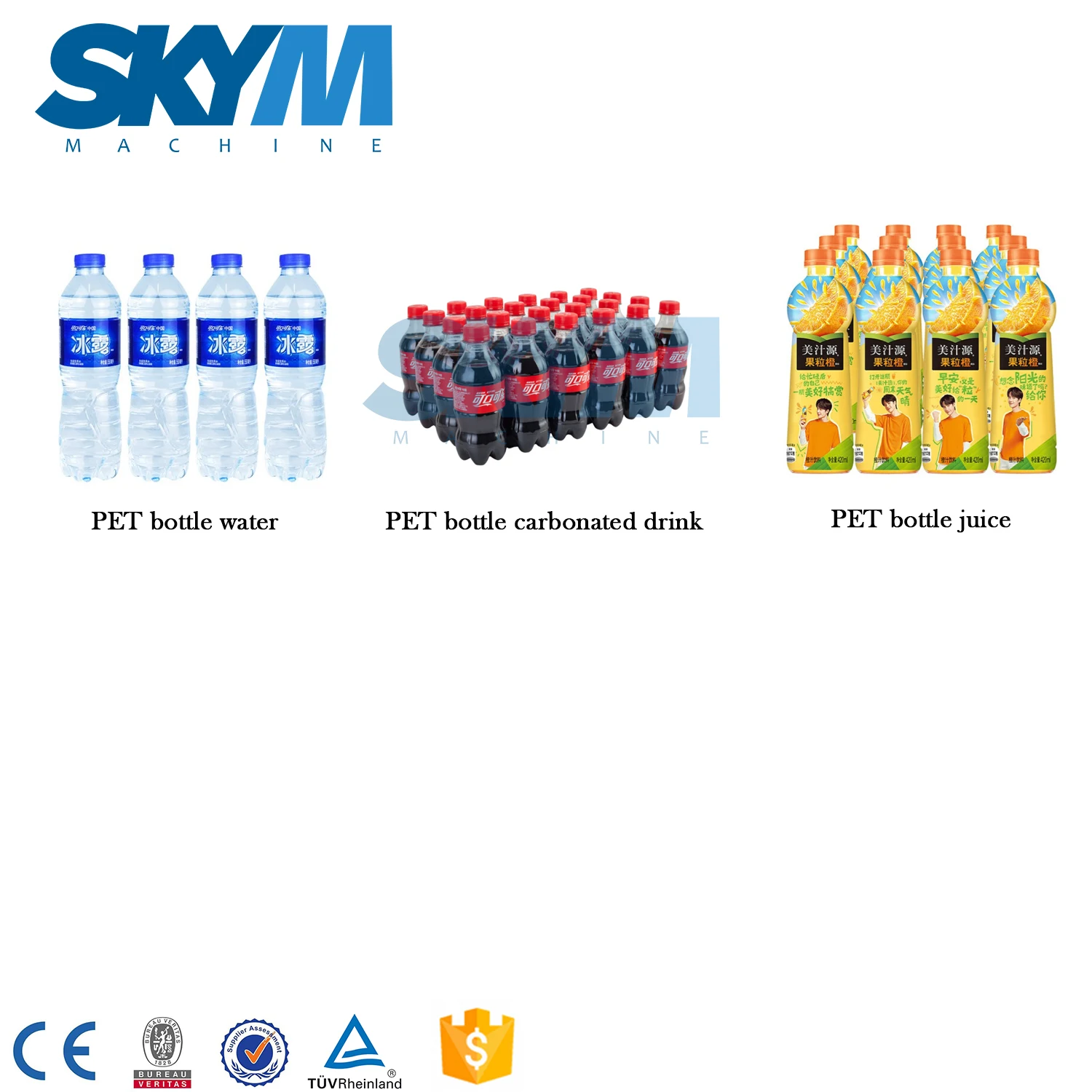 3 In 1 9.5KW Pet Bottle Filling Machine PLC 99.9% Accuracy With RO System