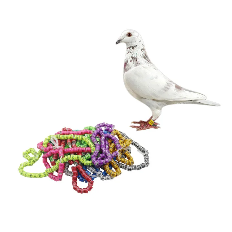 

China Factory/2000 PCs 8 mm Multi-color Pigeon Foot Ring Digital Training Rings Bird Parrot Racing Rings