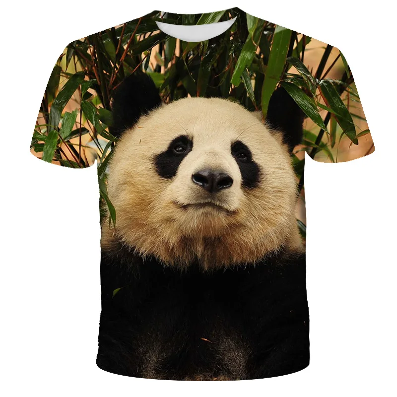

Soft cotton rounded hem t shirt chinese clothing manufacturers