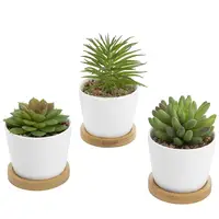 

Set of 3 Mini Artificial Succulent Plants in White Ceramic Pots