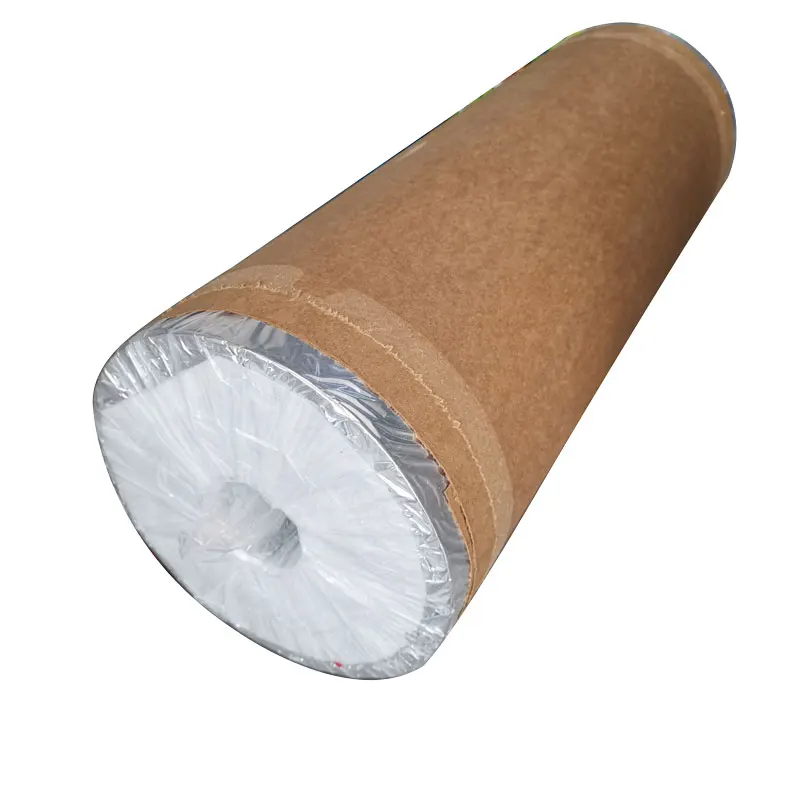 Biodegradable Roll Cellulose Film For Food Packaging Buy Ecofriendly