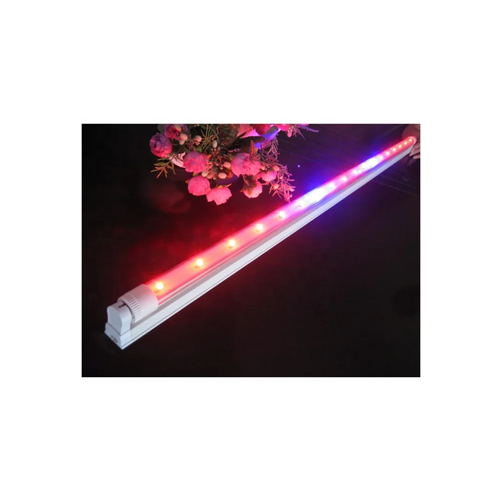 Hot Sale Plant Use Red And Blue Led Tube Lighting Type 120 Degree T5 8W 10W 20W Fixture Led Grow Light