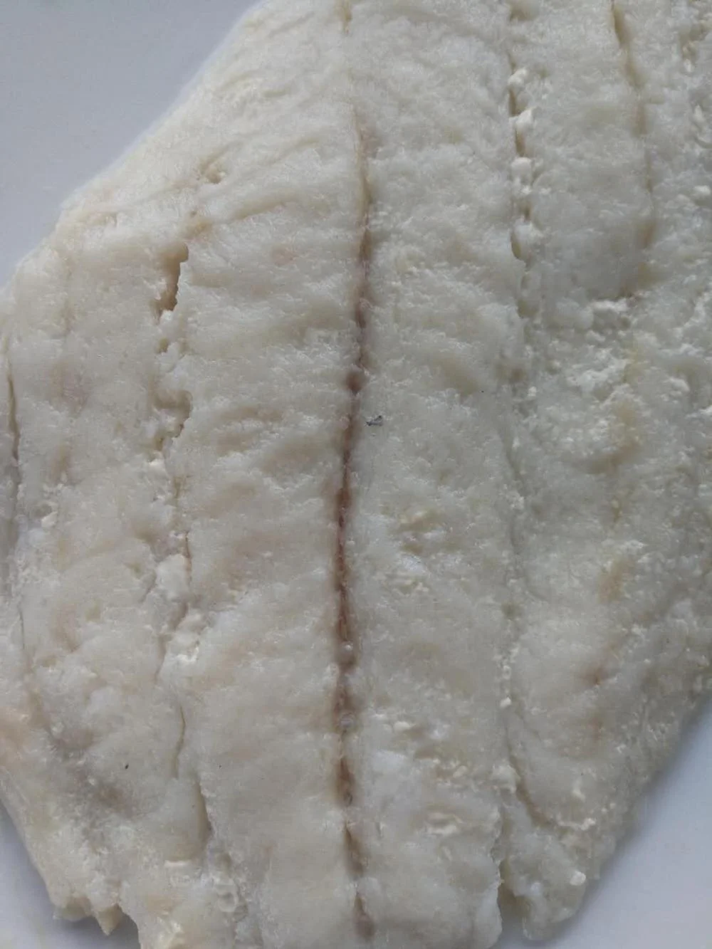 
Good Sale Indonesia Origin Seafood Frozen Halibut WR 