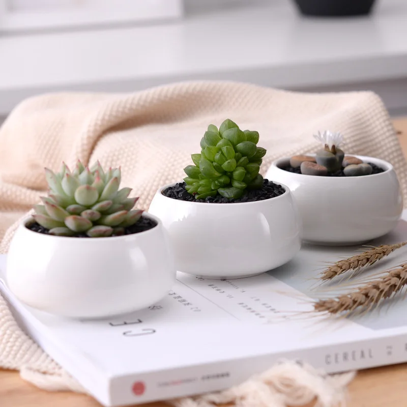 

New Arrival Modern Succulents Ceramic Tabletop Mini Oblate Succulent Flower Pot, Picture