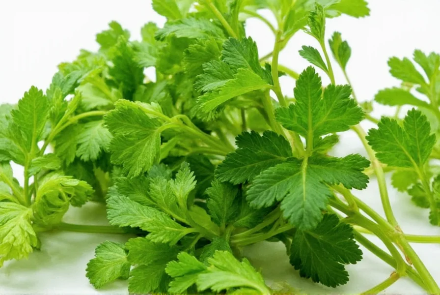 Cooking tips for parsley and cilantro