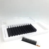 

mega volume eyelash extensions trays private label new style eyelashes