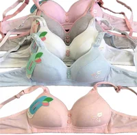 

Thin cup small chest gathered cotton student triangle cup girls underwear stock bra new design without underwire