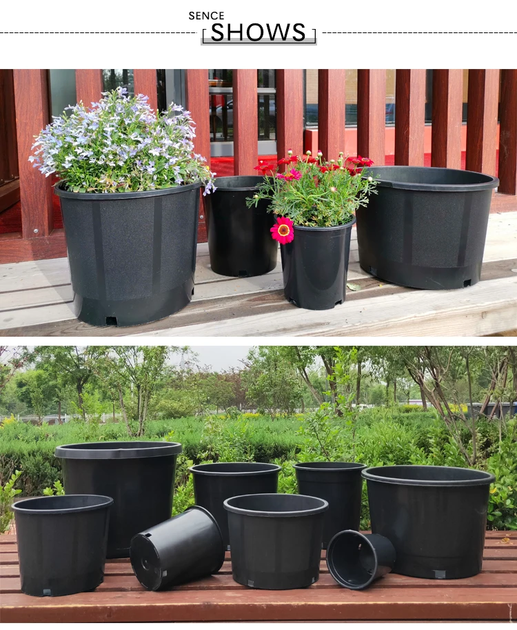 gallon pots 3