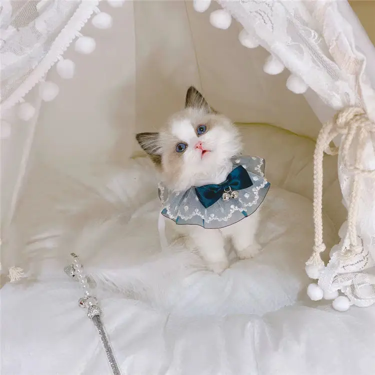

Wholesale Various Wedding Birthday Luxurious Lover Pattern Dog Bandana Lace Pet Scarf Neck Bibs for cat