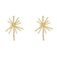 

Gold Metal Firework Stud Earrings for Women Simple Bar Big Earrings Studs Statement Chandelier Earrings Studs 2019 Jewelry