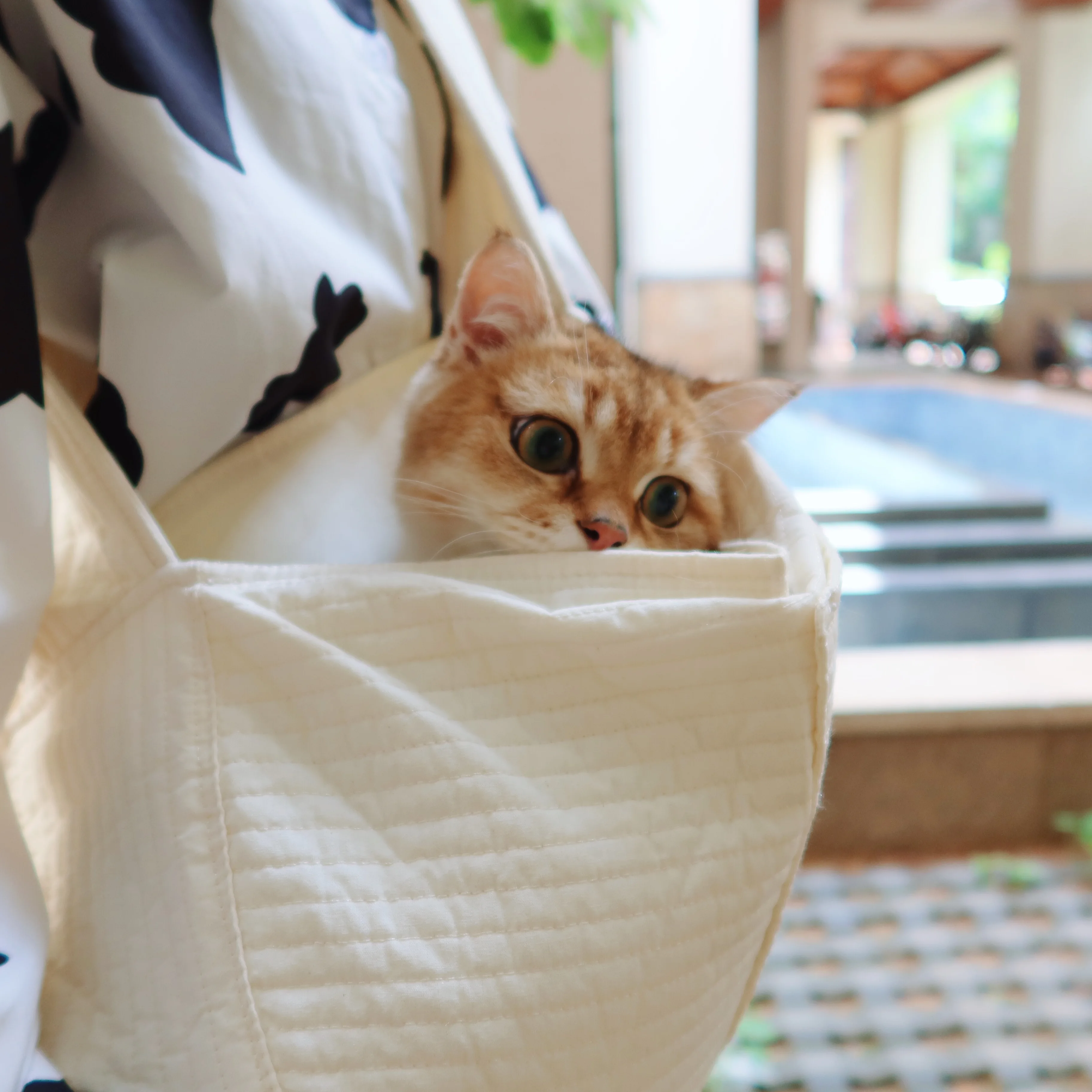 

Wholesale Pet Carrier Sling Shoulder Carrier Tote Pet Bags for Dogs Cats Small Animals with Outdoor Travel, White