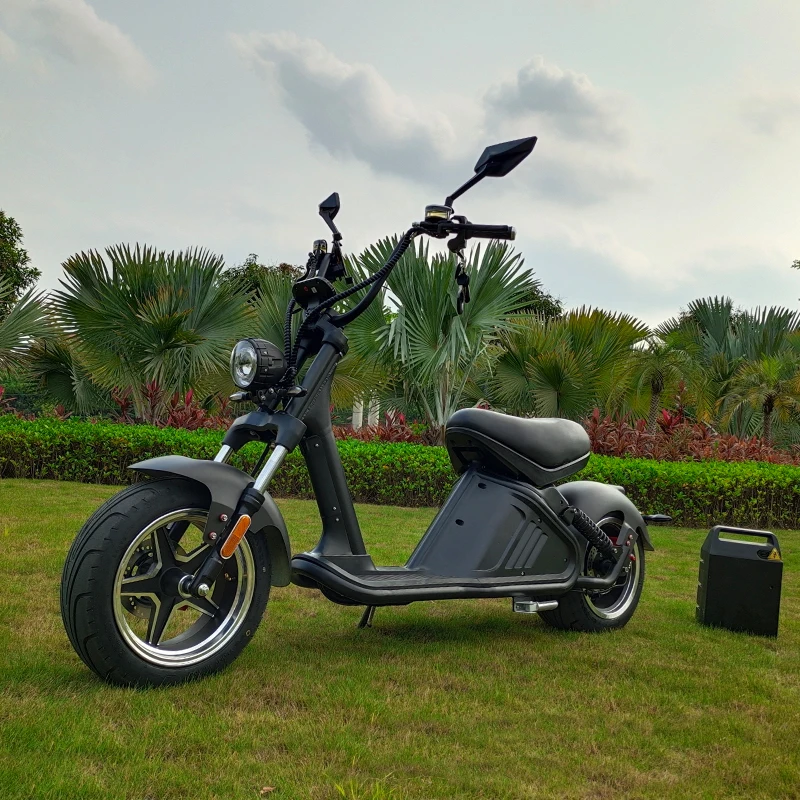 2 Wheels Fat Tire High Speed Electric Scooter Adult Electric Chopper M2 1500w 2000W 60V 20ah 30AH Citycoco, Customized