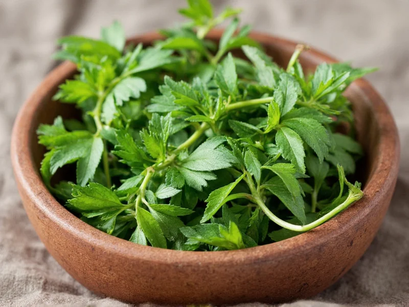 what is italian herbs