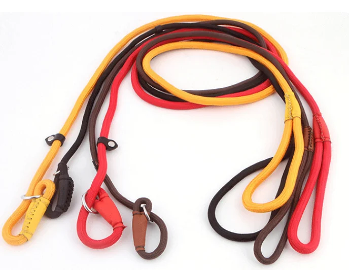 

Safe Wear Resistant Comfortable Durable Flexible Adjustable Nylon Traction Rope Pet Dog Cat Collar Leashes