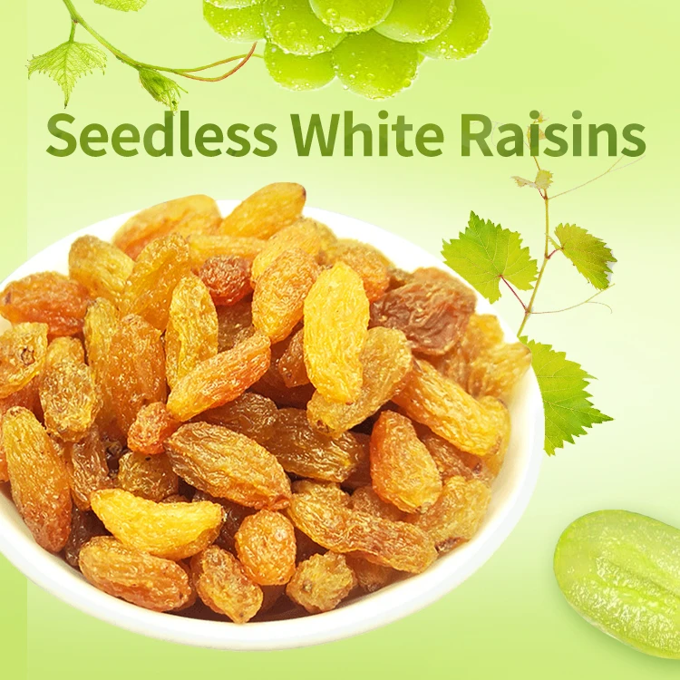 Seedless White Raisins 108g Dried Style And Whole Shape Xinjiang Sweet